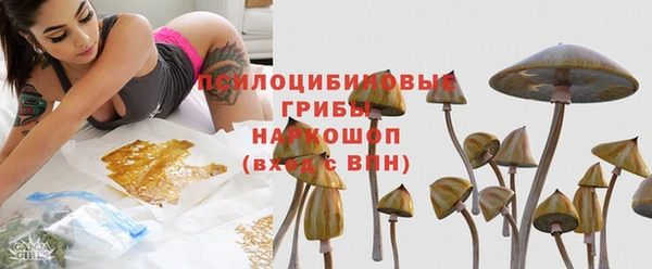 гидра Богородск