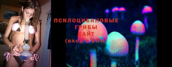гашик Белоозёрский