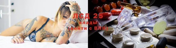 ПСИЛОЦИБИНОВЫЕ ГРИБЫ Белокуриха