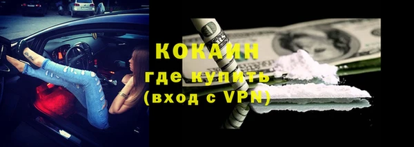 гидра Богородск