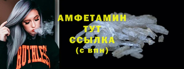 гидра Богородск