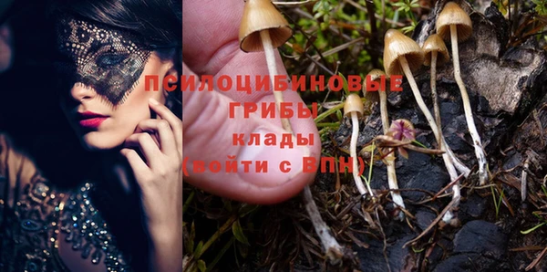 гашишное масло Богданович