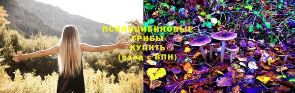 гашишное масло Богданович