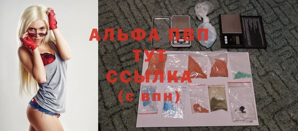 гашик Белоозёрский